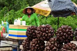 Découvrir le Vietnam autrement Découvrir le Vietnam autrement