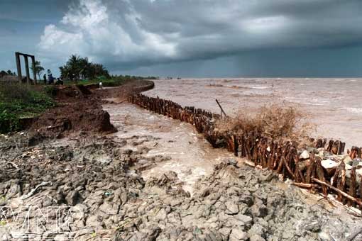 Le "grenier à riz" du Vietnam menacé par la hausse du niveau de la mer Le "grenier à riz" du Vietnam menacé par la hausse du niveau de la mer