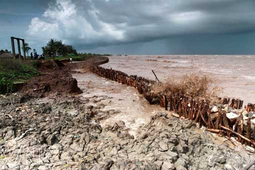 Le "grenier à riz" du Vietnam menacé par la hausse du niveau de la mer