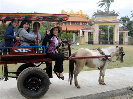 À la découverte de Binh Dinh en hippomobile