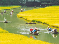 Voyage Vietnam Pas Cher Voyage Vietnam Pas Cher
