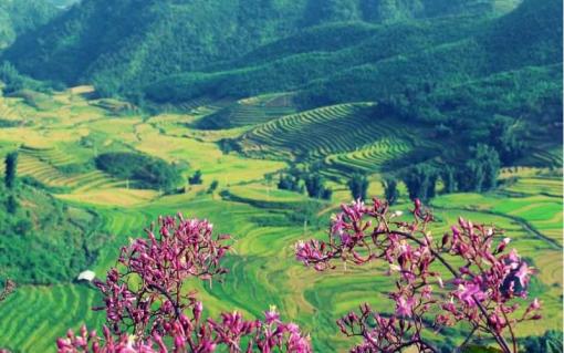 Circuit Vietnam: Dien Bien toutes les activités Circuit Vietnam: Dien Bien toutes les activités
