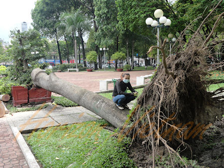 Tempête tropicale à Hôchiminh Tempête tropicale à Hôchiminh