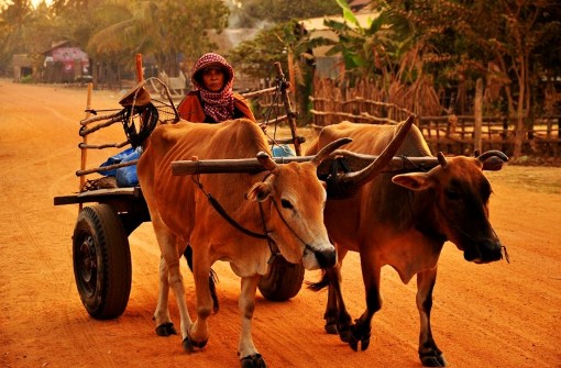 Les rencontres humaines et l’immersion dans la vie locale à travers le voyage avec Amica Travel