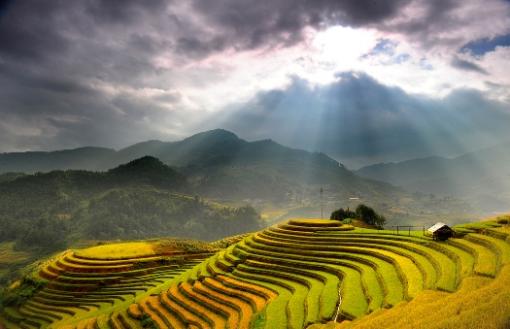 La semaine Culturelle et Touristique des rizières en terrasses de Mu Cang Chai 2014 La semaine Culturelle et Touristique des rizières en terrasses de Mu Cang Chai 2014