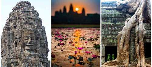 Asiatica au Cambodge