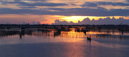 Ecotour à la lagune de Dam Chuon – Hue