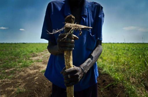 Monsanto fait main basse sur les Big Data pour conquérir le monde