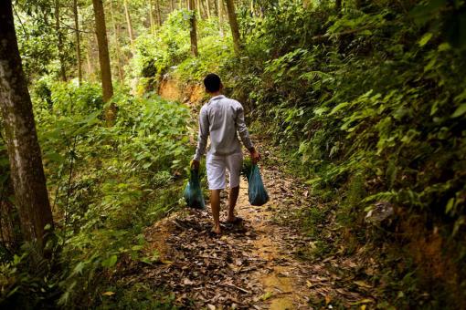 La FAO annonce une initiative pour aider les petits producteurs forestiers et agricoles (dont au Vietnam)