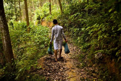 La FAO annonce une initiative pour aider les petits producteurs forestiers et agricoles (dont au Vietnam) La FAO annonce une initiative pour aider les petits producteurs forestiers et agricoles (dont au Vietnam)