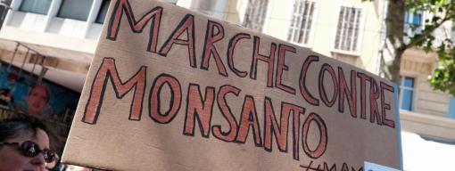 De l'agent orange au glyphosate, comment Monsanto a tout fait pour couper l'herbe sous le pied de ses détracteurs