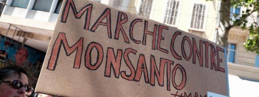 De l'agent orange au glyphosate, comment Monsanto a tout fait pour couper l'herbe sous le pied de ses détracteurs De l'agent orange au glyphosate, comment Monsanto a tout fait pour couper l'herbe sous le pied de ses détracteurs