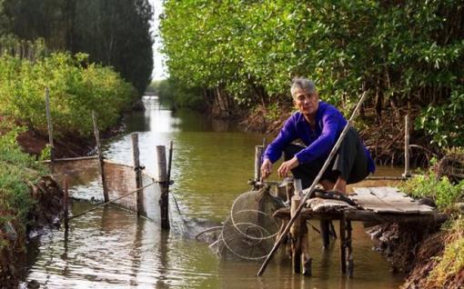 L'Allemagne aide le Vietnam dans la protection des forêts L'Allemagne aide le Vietnam dans la protection des forêts