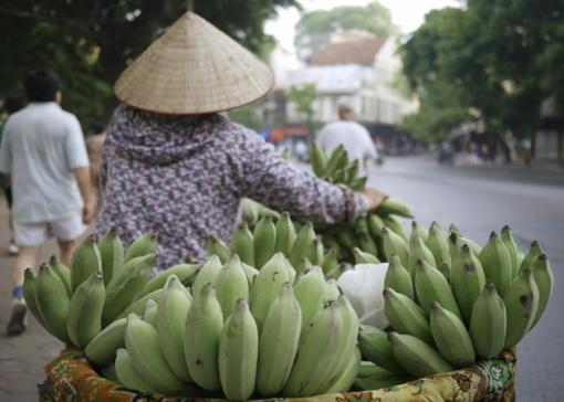 Les États-Unis et le Vietnam : d’anciens rivaux devenus partenaires Les États-Unis et le Vietnam : d’anciens rivaux devenus partenaires