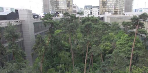Vendredi 25 mai 2018 de 15h à 17h à la Bibliothèque nationale de France (BnF), Paris 13e, séance du séminaire « France-Vietnam : un portail entre les cultures » : ‘L’histoire culturelle du Vietnam à travers les collections patrimoniales de la BnF’ Vendredi 25 mai 2018 de 15h à 17h à la Bibliothèque nationale de France (BnF), Paris 13e, séance du séminaire « France-Vietnam : un portail entre les cultures » : ‘L’histoire culturelle du Vietnam à travers les collections patrimoniales de la BnF’