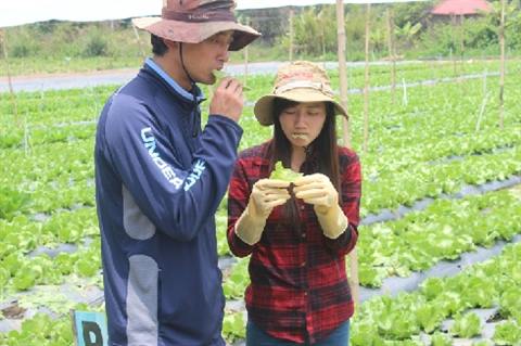 Des agriculteurs étrangers au Vietnam