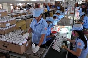 Des produits vietnamiens écologiques, une nouvelle tendance Des produits vietnamiens écologiques, une nouvelle tendance