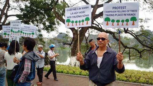 Vietnam: des milliers d’arbres sauvés de l’abattage grâce aux réseaux sociaux Vietnam: des milliers d’arbres sauvés de l’abattage grâce aux réseaux sociaux