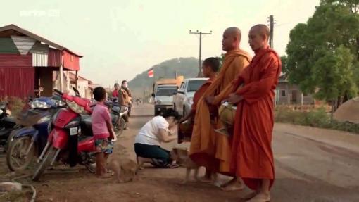  Documentaire: Les trésors de l’Asie du Sud-Est Vietnam, le pays des animaux sacrés