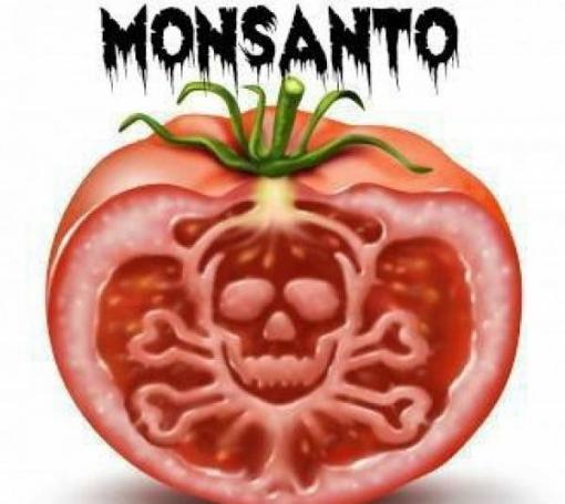 L’histoire complète de Monsanto, « La société la plus maléfique au monde » L’histoire complète de Monsanto, « La société la plus maléfique au monde »