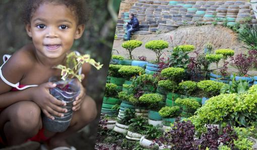 Ils transforment un tas d’ordures en Oasis au cœur d’une favela