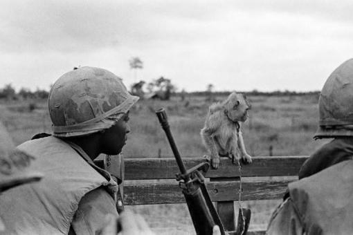 Des milliers de clichés oubliés de la guerre du Vietnam resurgissent Des milliers de clichés oubliés de la guerre du Vietnam resurgissent