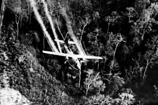 Procès de l'agent Orange au Vietnam : "C'est mon dernier combat", raconte une victime Procès de l'agent Orange au Vietnam : "C'est mon dernier combat", raconte une victime
