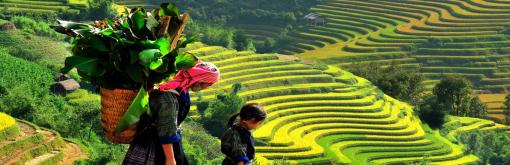 Pourquoi voyagez-vous au Vietnam? Pourquoi voyagez-vous au Vietnam?