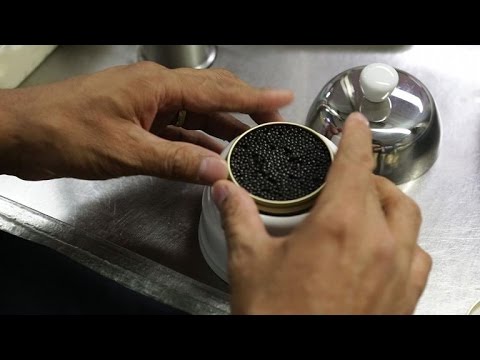 Caviar "made in Vietnam" Caviar "made in Vietnam"