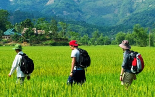 Une nouvelle génération de guides francophones du tourisme Une nouvelle génération de guides francophones du tourisme