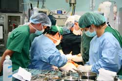 Un professeur français soutient la chirurgie vietnamienne Un professeur français soutient la chirurgie vietnamienne