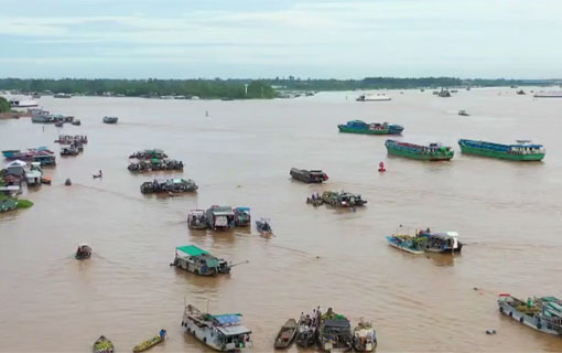 Au Vietnam, acheteurs et vendeurs se déplacent en barques au marché flottant de Long Xuyên
