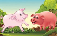 Le cochon du paysan Le cochon du paysan