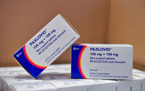 Le Vietnam vient d'obtenir une licence pour produire le médicament de traitement Covid-19 de Pfizer Le Vietnam vient d'obtenir une licence pour produire le médicament de traitement Covid-19 de Pfizer