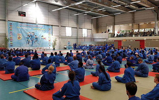 Bruxelles accueille la cinquième coupe du monde d'un art martial vietnamien Bruxelles accueille la cinquième coupe du monde d'un art martial vietnamien