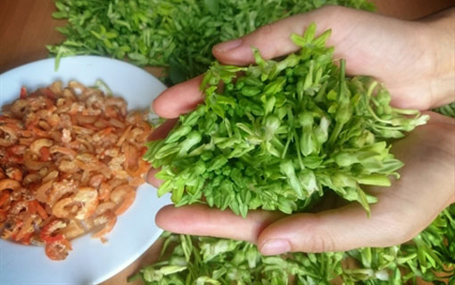 La cuisine florale au Vietnam