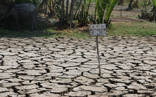 Le delta du Mékong lutte contre la sécheresse et la salinisation