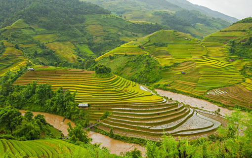 La destination tendance du mois de janvier : le Vietnam La destination tendance du mois de janvier : le Vietnam