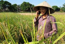 VIETNAM - La folie du téléphone