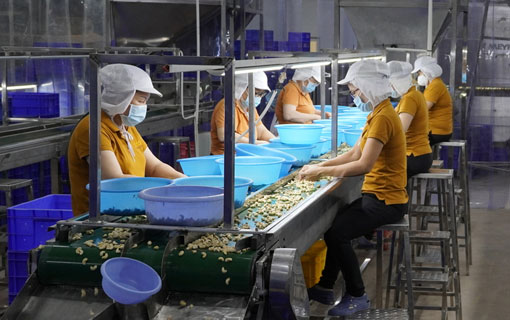 Covid-19 au Vietnam - Les ouvriers travaillent, mangent et dorment à l'usine