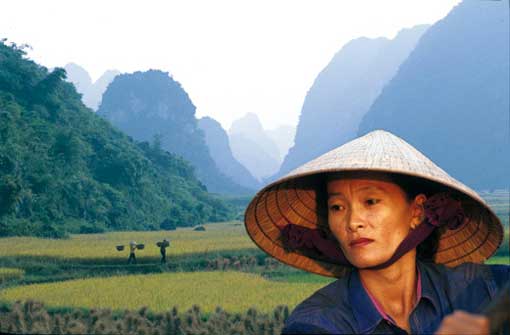 Vietnam : un dragon né de l’Indochine Vietnam : un dragon né de l’Indochine