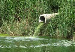 Vietnam : 80% des maladies dues à l'eau polluée Vietnam : 80% des maladies dues à l'eau polluée