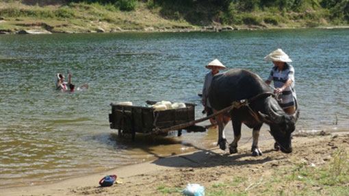  Alerte à la pollution des eaux souterraines en zone rurale