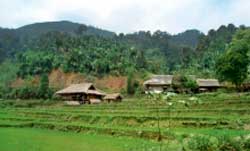 Ecolink : pionnier du bio au Vietnam Ecolink : pionnier du bio au Vietnam