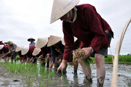 Être un vrai agriculteur de Hôi An pendant un jour Être un vrai agriculteur de Hôi An pendant un jour