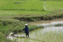 Colloque international - Flore du Cambodge, du Laos et du Vietnam