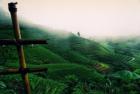 « Palettes… Rizières du Vietnam », par Yann Savalle « Palettes… Rizières du Vietnam », par Yann Savalle