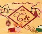 Fête du Têt 2018 (Année du Chien) à Bordeaux Fête du Têt 2018 (Année du Chien) à Bordeaux