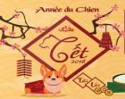 Fête du Têt 2018 (Année du Chien) à Bordeaux