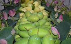 Le Vietnam en passe de devenir une puissance économique grâce à la croissance des exportations de fruits, selon le journal The Star (Malaisie)